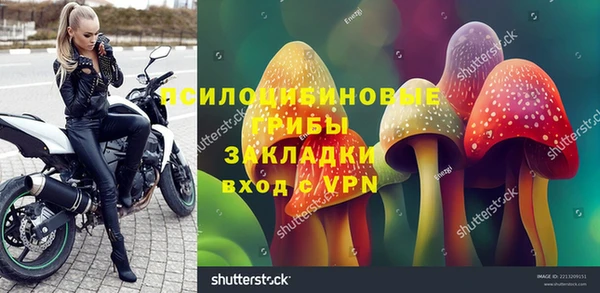 PSILOCYBIN Алексин