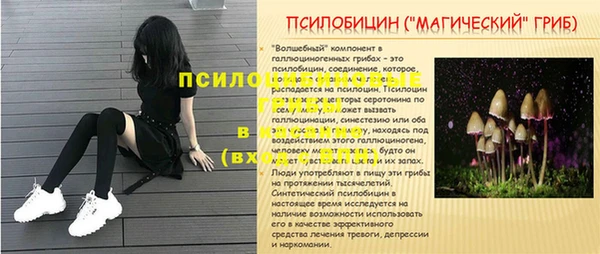 PSILOCYBIN Алексин