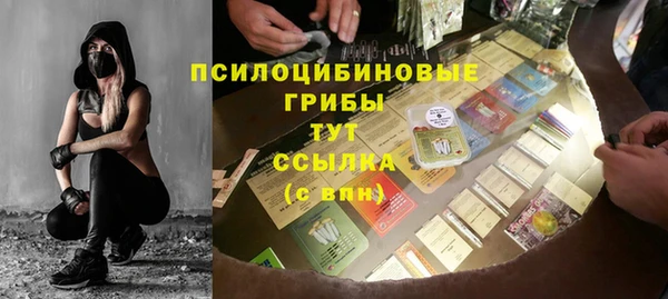 PSILOCYBIN Алексин