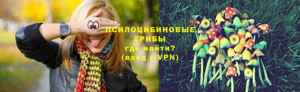 PSILOCYBIN Алексин