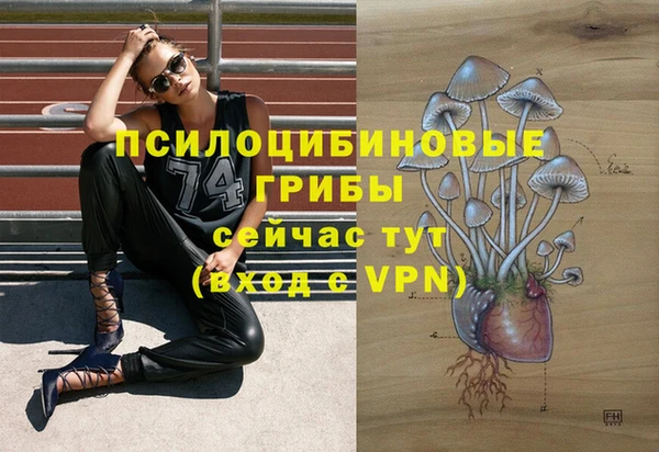 PSILOCYBIN Алексин